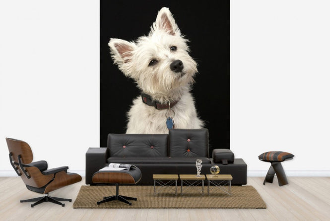 PHOTOWALL / West Highland Terrier (e24351)