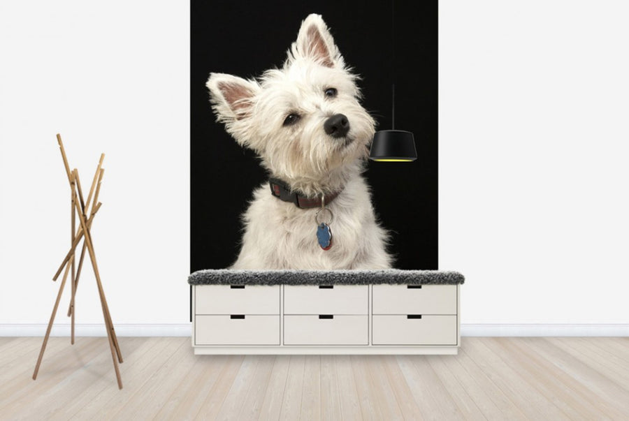 PHOTOWALL / West Highland Terrier (e24351)