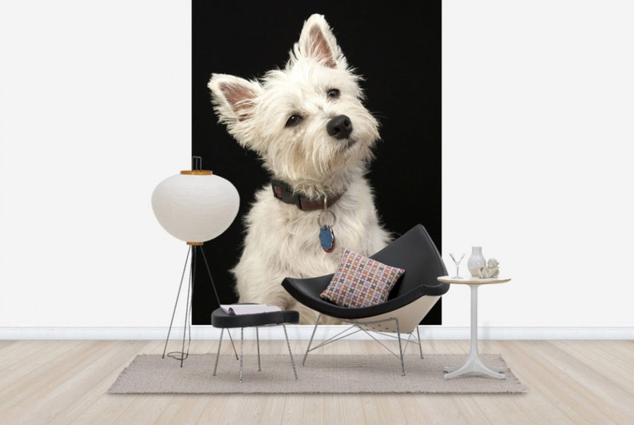 PHOTOWALL / West Highland Terrier (e24351)