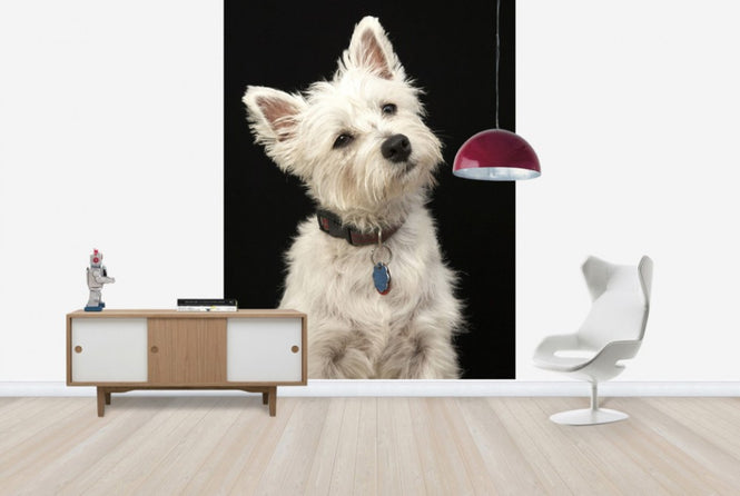 PHOTOWALL / West Highland Terrier (e24351)