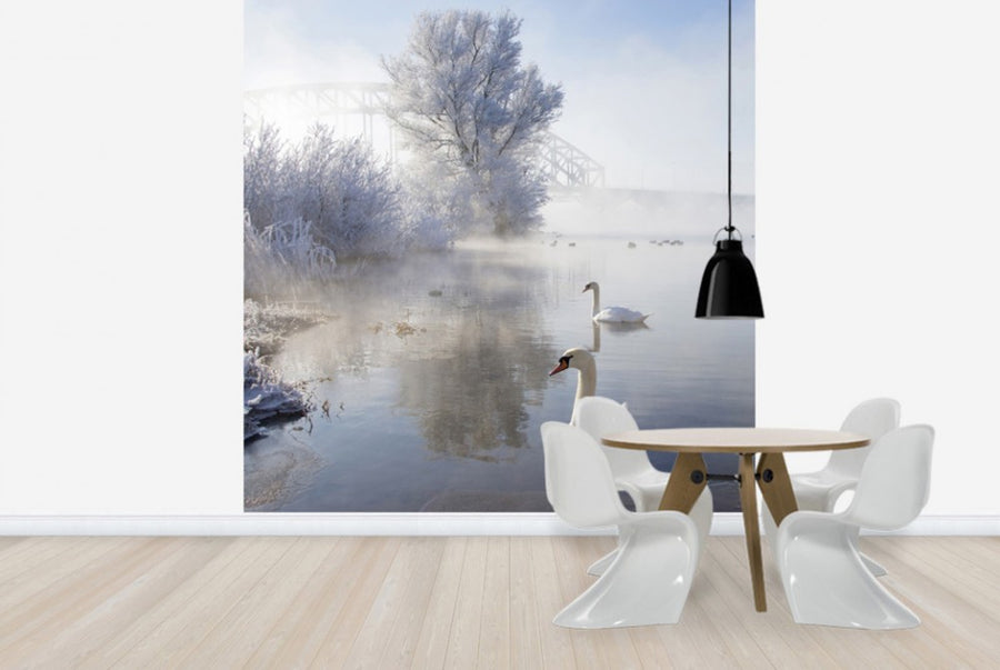 PHOTOWALL / Icy Swan Lake (e24352)