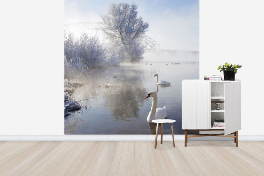 PHOTOWALL / Icy Swan Lake (e24352)