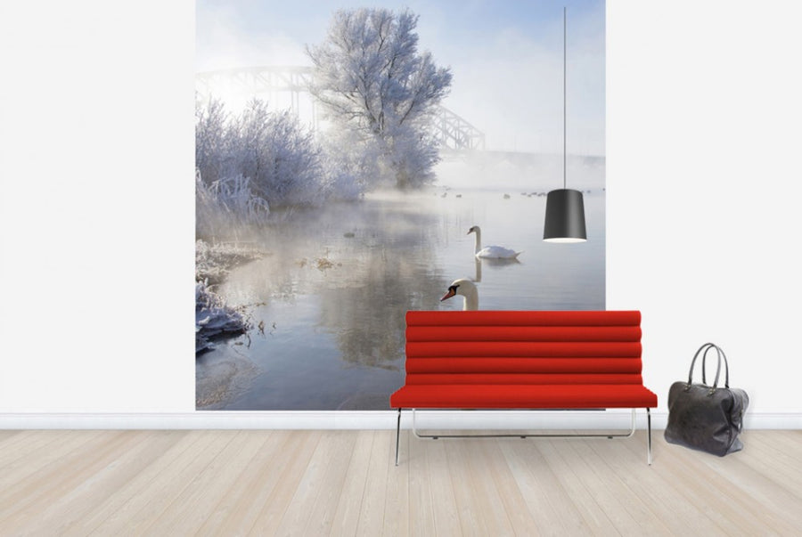 PHOTOWALL / Icy Swan Lake (e24352)