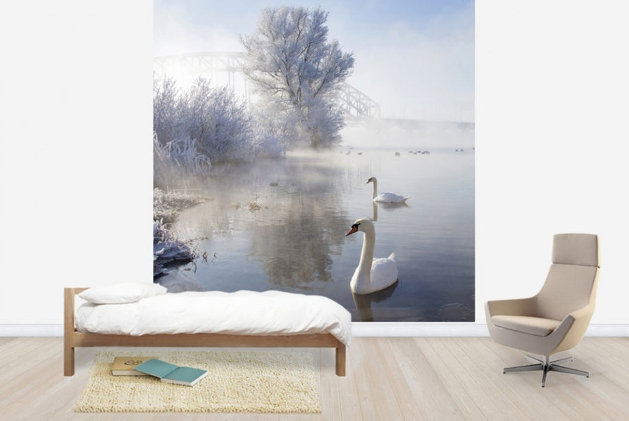 PHOTOWALL / Icy Swan Lake (e24352)