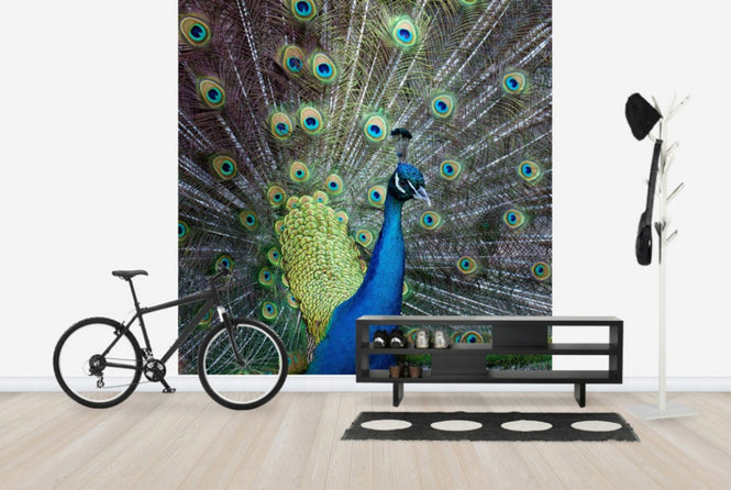 PHOTOWALL / Displaying (e24354)