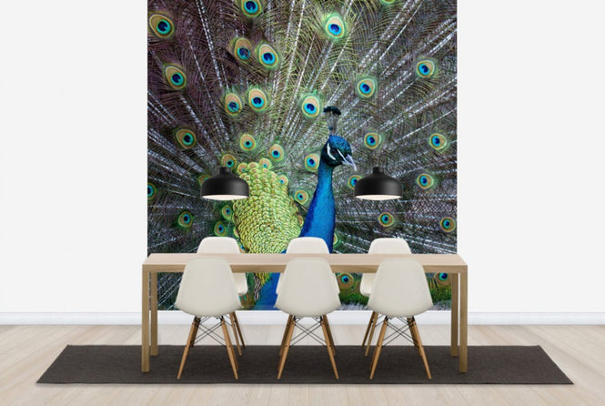 PHOTOWALL / Displaying (e24354)