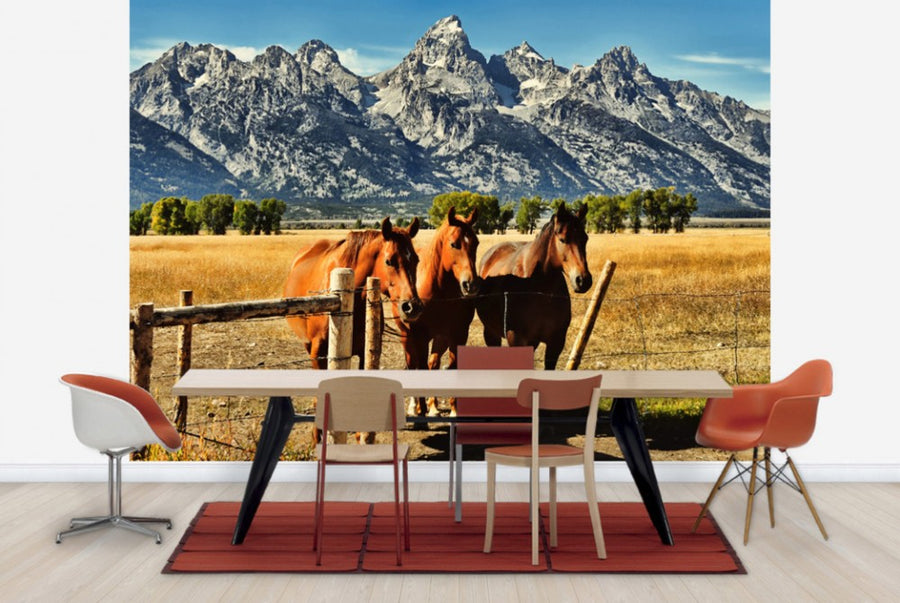 PHOTOWALL / Trio in front of Teton Mountain Range (e24366)