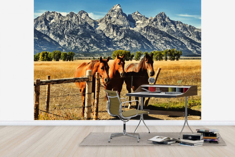 PHOTOWALL / Trio in front of Teton Mountain Range (e24366)