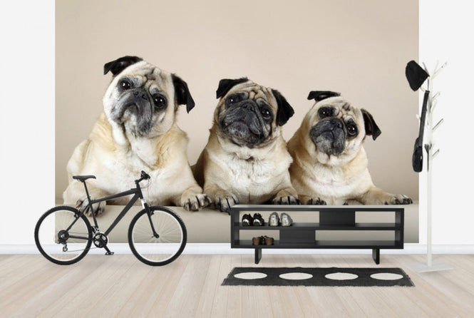 PHOTOWALL / Trio (e24369)