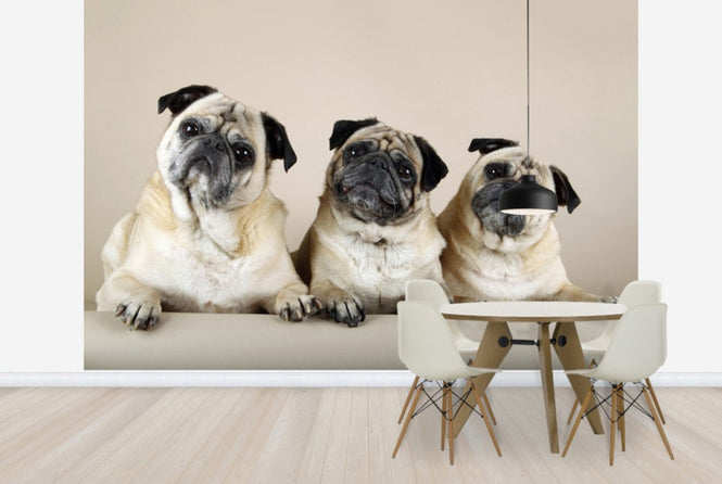 PHOTOWALL / Trio (e24369)