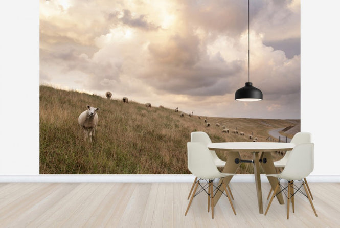 PHOTOWALL / Attentive Sheep (e24373)