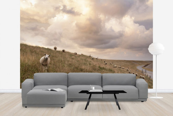 PHOTOWALL / Attentive Sheep (e24373)