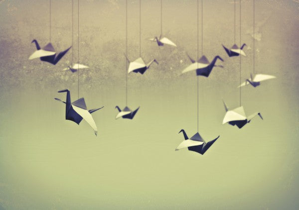 PHOTOWALL / Origami Birds (e24410)