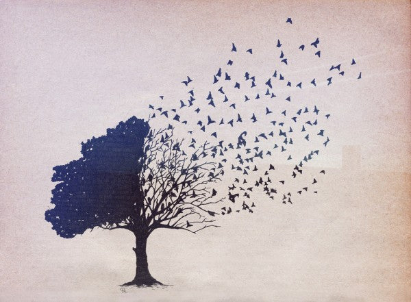 PHOTOWALL / Birds Leaves (e24415)