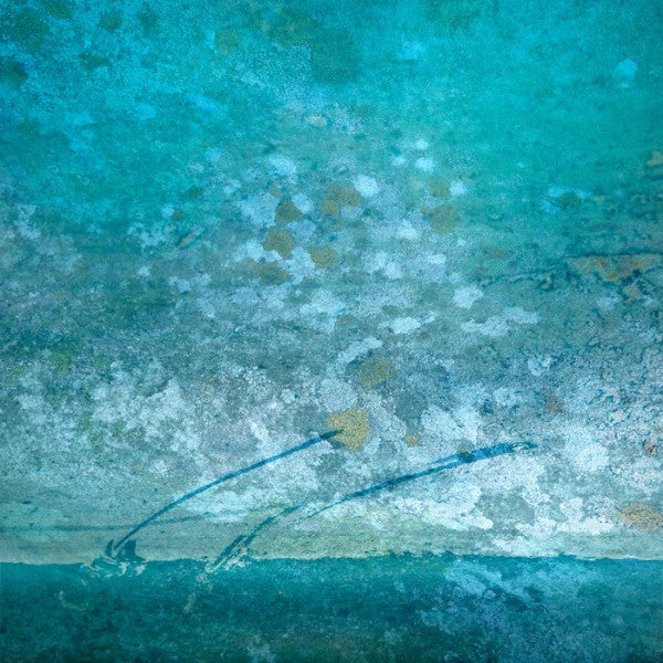 PHOTOWALL / Words are Glass (e24423)