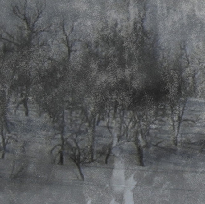 PHOTOWALL / Lost Landscape - Dark (e24473)