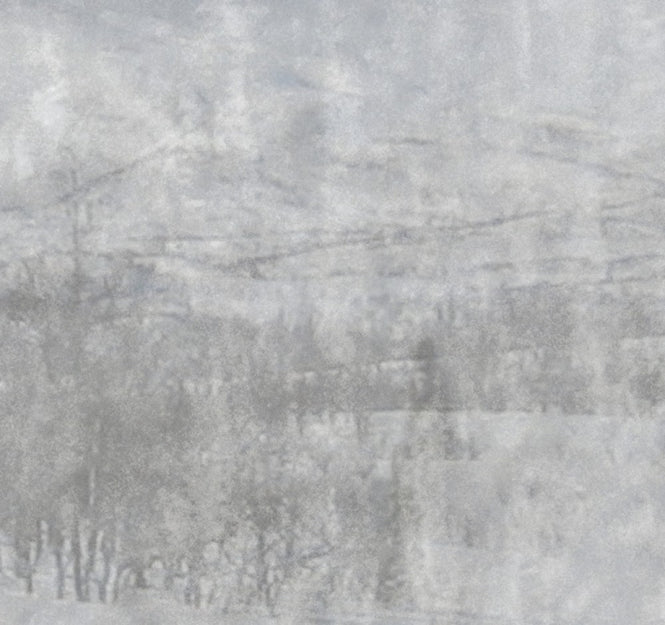 PHOTOWALL / Lost Landscape - Light (e24474)