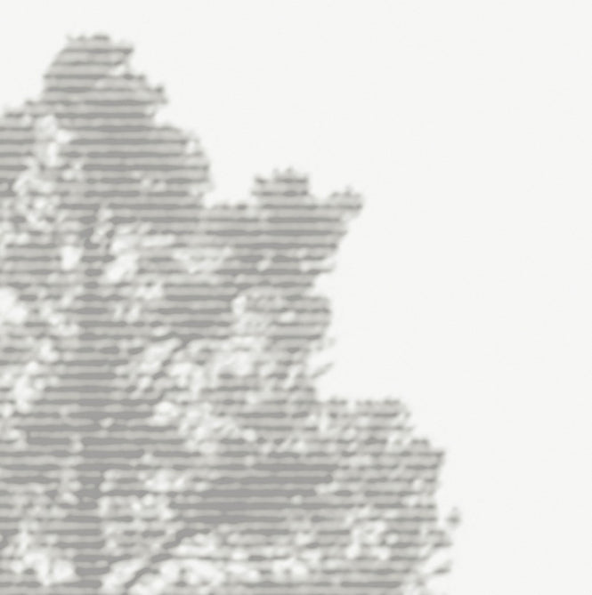 PHOTOWALL / Panorama - Beige (e24476)