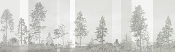 PHOTOWALL / Panorama - Beige (e24476)