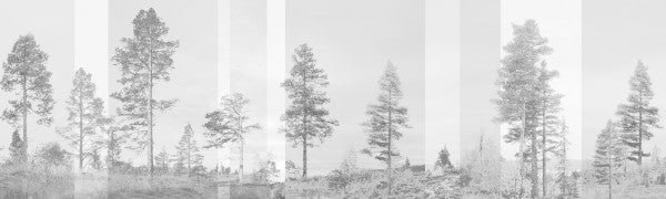 PHOTOWALL / Panorama - Grey (e24480)