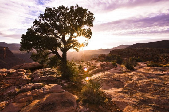 PHOTOWALL / Toroweap Overlook (e24560)