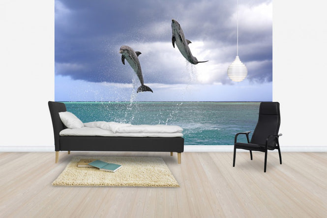 PHOTOWALL / Jumping Dolphins (e24550)
