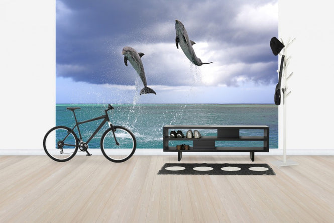 PHOTOWALL / Jumping Dolphins (e24550)