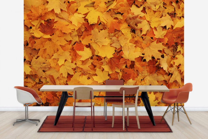 PHOTOWALL / Bed of Autumn Maple Leaves (e24602)
