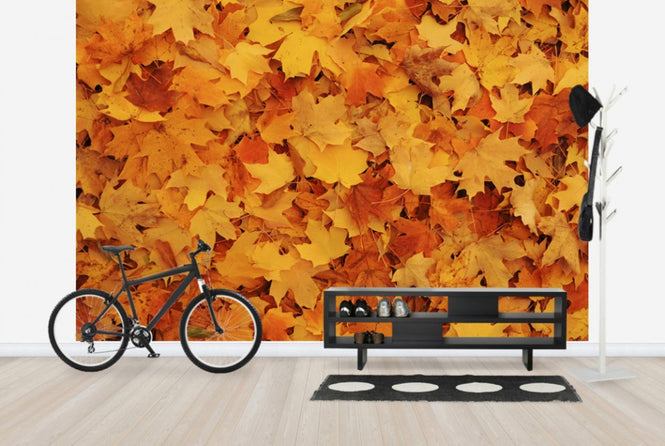 PHOTOWALL / Bed of Autumn Maple Leaves (e24602)