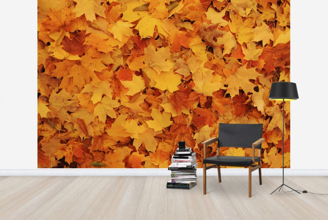 PHOTOWALL / Bed of Autumn Maple Leaves (e24602)