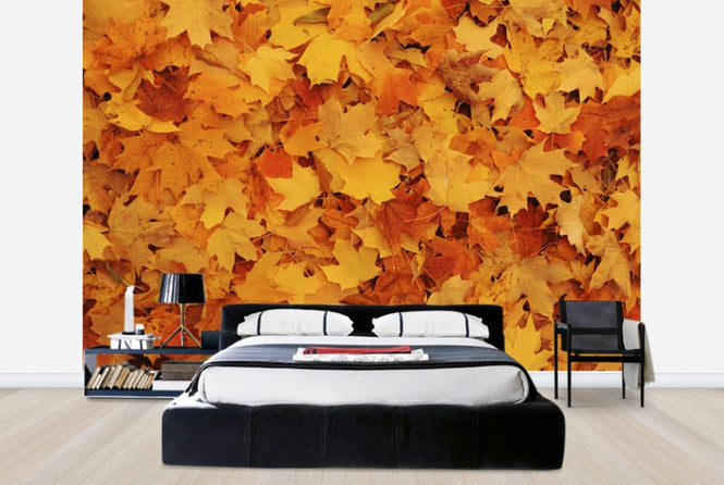PHOTOWALL / Bed of Autumn Maple Leaves (e24602)