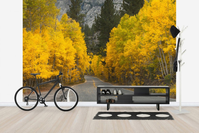 PHOTOWALL / Eastern Sierra Autumn Landscape (e24564)