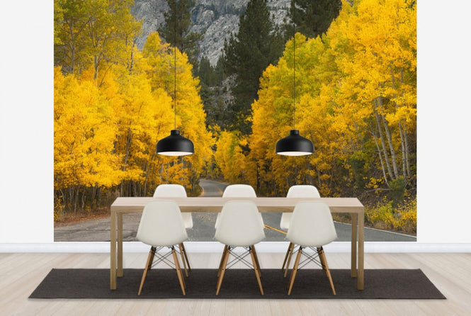 PHOTOWALL / Eastern Sierra Autumn Landscape (e24564)