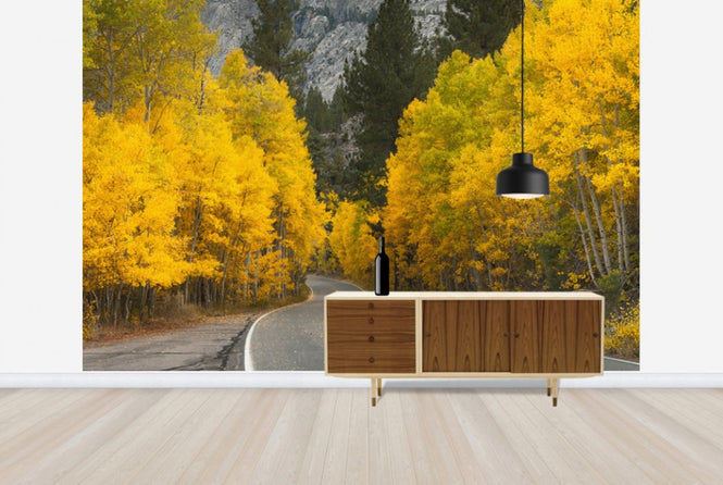 PHOTOWALL / Eastern Sierra Autumn Landscape (e24564)