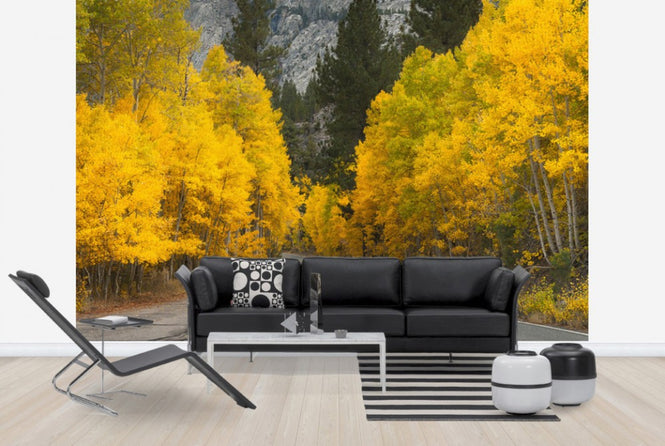 PHOTOWALL / Eastern Sierra Autumn Landscape (e24564)
