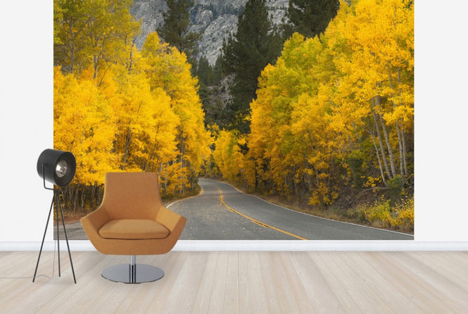 PHOTOWALL / Eastern Sierra Autumn Landscape (e24564)