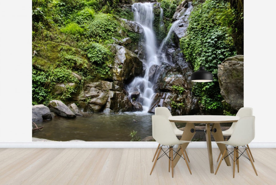 PHOTOWALL / Waterfall and Forest Pool (e24584)