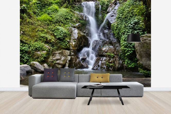 PHOTOWALL / Waterfall and Forest Pool (e24584)