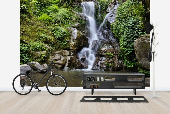 PHOTOWALL / Waterfall and Forest Pool (e24584)