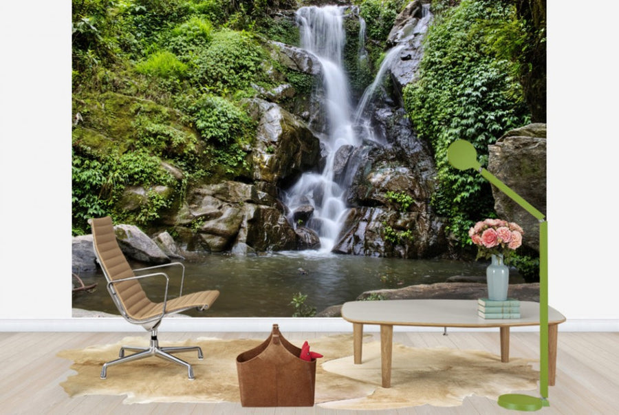 PHOTOWALL / Waterfall and Forest Pool (e24584)