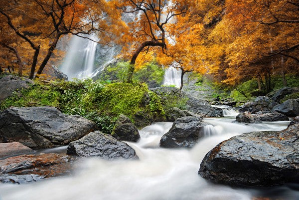 PHOTOWALL / Autumn Waterfall (e24585)