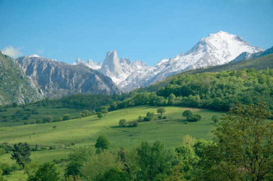 PHOTOWALL / Great Limestone Peak (e24681)