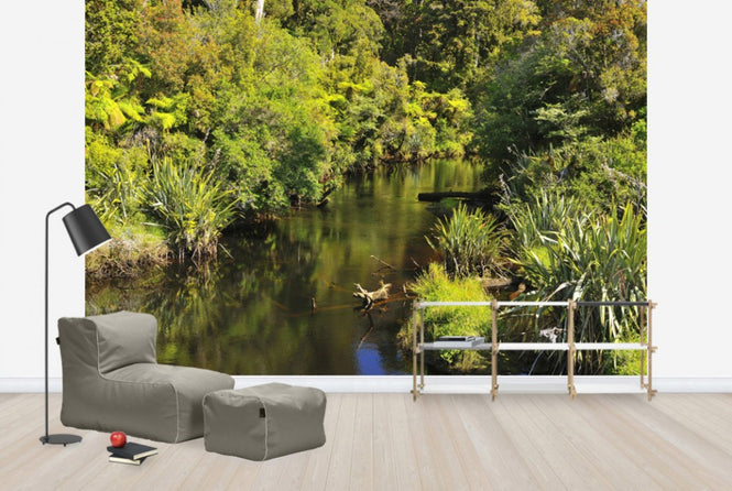 PHOTOWALL / Coastal Temperate Rain Forest (e24685)