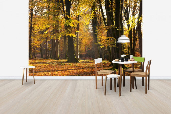 PHOTOWALL / Autumn Scented Woods (e24618)