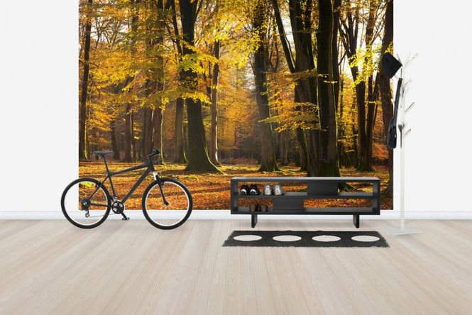 PHOTOWALL / Autumn Scented Woods (e24618)