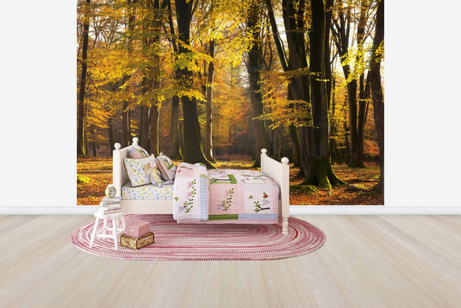 PHOTOWALL / Autumn Scented Woods (e24618)