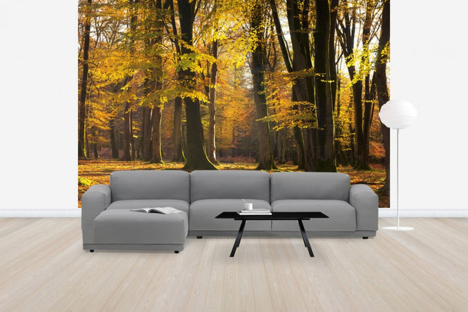 PHOTOWALL / Autumn Scented Woods (e24618)