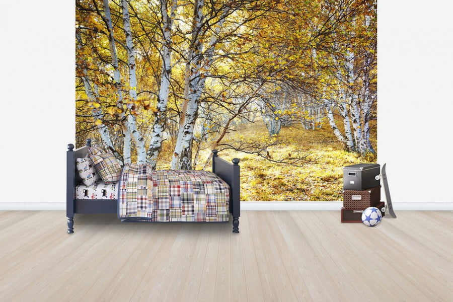 PHOTOWALL / Autumn Flavour (e24619)