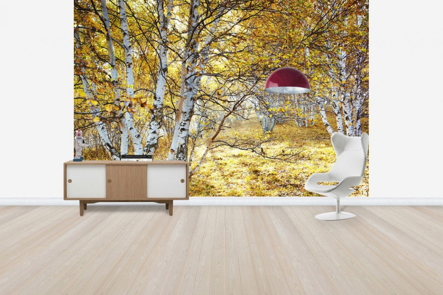 PHOTOWALL / Autumn Flavour (e24619)