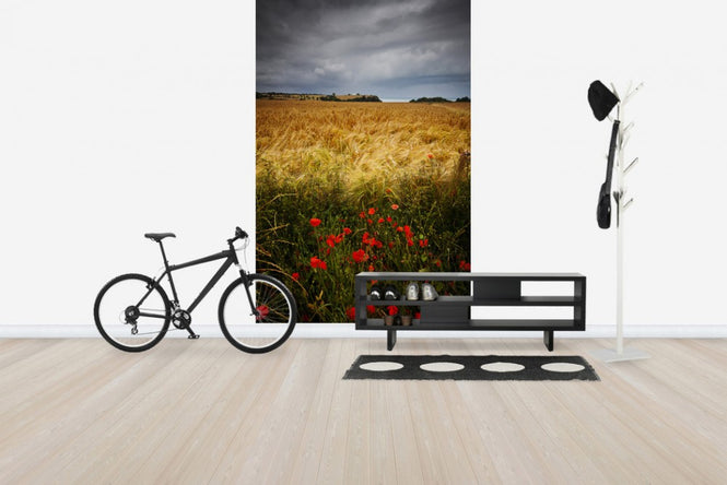 PHOTOWALL / Poppies and Hay Field (e24666)